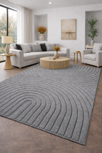 Japandi Vloerkleed - ART 1122 SILVER
