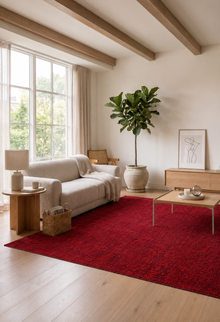 SPACE 1900 RED