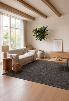 SPACE 1900 GREY
